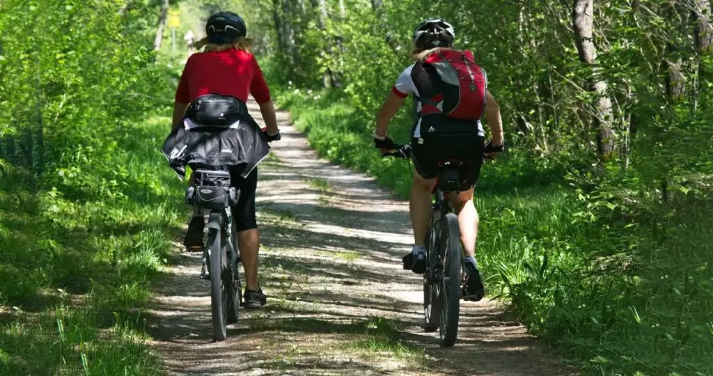 Велосипедисты в немецком лесу
