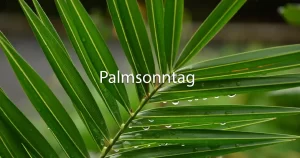 Palmsonntag